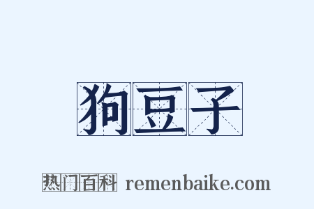 狗豆子是什么意思的图片